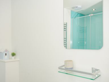 A bathroom with a rectangular mirror above a glass shelf holding a cup with a blue band and a small plant and decorative house on a ledge