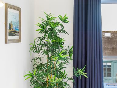 A corner with a tall green plant next to a framed picture on a white wall and dark blue curtains by a window at Sennen in Mawnan Smith Near Falmouth