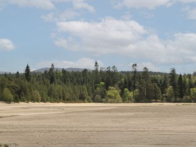 A sandy foreground with a forest of trees and hills under a cloudy sky at Coraldie in Laggan near Newtonmore