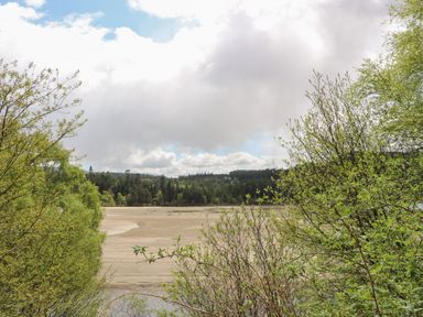 A landscape view of trees and sandy land under a cloudy sky at Coraldie in Laggan near Newtonmore