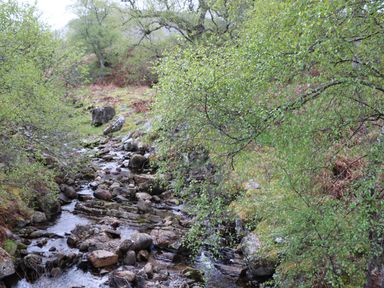 A small rocky stream with trees and shrubs around in a natural setting at Coraldie in Laggan near Newtonmore
