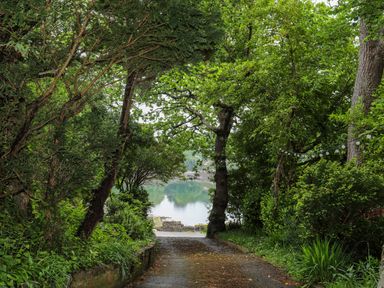 A pathway surrounded by trees and green plants leading to a body of water at Ynys Castell in Menai Bridge