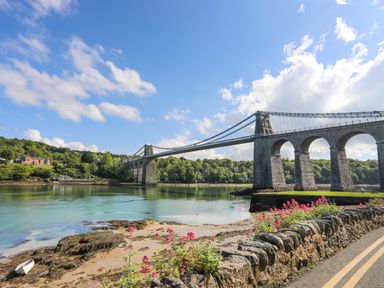 A suspension bridge over a river with a stone wall and flowers in the foreground at Ynys Castell in Menai Bridge