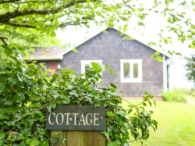 A green leafy bush with a sign that says cottage in front of a dark wooden house with white windows at Henllys Lodge in Newport Pembrokeshire