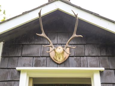 A deer antler mount above a doorway on a dark shingled exterior wall at Henllys Lodge in Newport Pembrokeshire