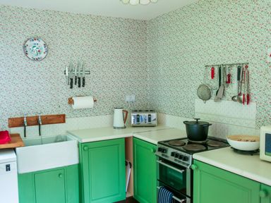 A kitchen with green cabinets a stove a kettle and utensils on the wall at Henllys Lodge in Newport Pembrokeshire
