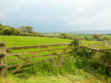 A wooden gate with pink flowers and green fields in the background at Henllys Lodge in Newport Pembrokeshire
