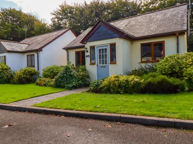 Two single story houses with pitched roofs and shrubs in front at Lilyvale Davidstow near Camelford