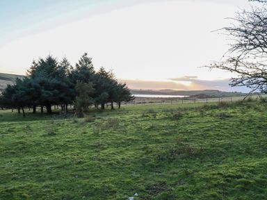 A field with trees and grass with a body of water in the distance at Lilyvale in Davidstow near Camelford