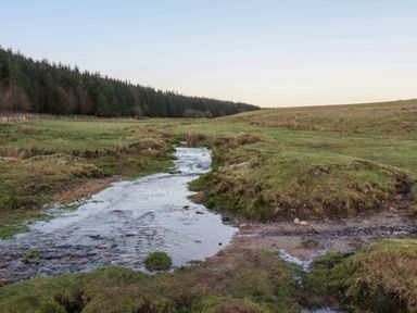 A small stream flowing through grassy fields with trees in the background at Lilyvale in Davidstow near Camelford