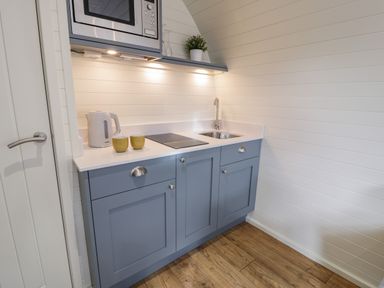A kitchenette with blue cabinets a white countertop a sink stovetop microwave kettle cups and a potted plant at Y Dderwen in Bontuchel near Ruthin