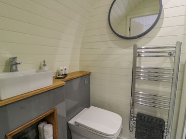 A bathroom with a toilet sink countertop mirror and heated towel rack at Y Dderwen in Bontuchel near Ruthin