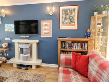 A living room with a wall-mounted TV above a fireplace and a plaid sofa with a red cushion at 6 Badgers Retreat Tunstall near Richmond