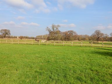 A fenced grassy field with three donkeys and trees at Romulus in Larling near East Harling