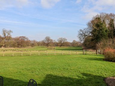 A fenced grassy yard with trees in the distance and a gate on the right at Romulus Larling near East Harling