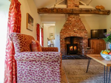 A living room with a patterned armchair a brick fireplace with a wood burning stove and a wooden TV cabinet at Remus in Larling near East Harling