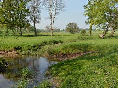 A countryside scene with a stream running through green fields with trees at 1 The Old Coach House Huntingfield Near Laxfield
