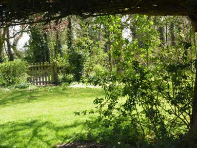 A green garden with grass and leafy bushes with a wooden gate surrounded by trees at Yew Tree Farm Barn Worlingworth