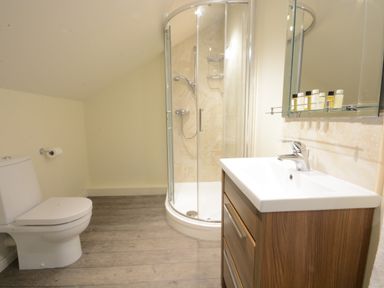 A bathroom with a toilet a shower with glass doors and a sink with a wooden cabinet and mirror at King George Penthouse in Aldeburgh