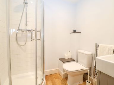 A bathroom with a shower enclosure toilet with toilet paper and a towel rail at Saffron Blythview in Blythburgh near Southwold