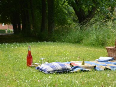 A picnic setup on grass with a bottle, glasses, cushions, a pear, a basket, and napkins at The Gig House Stowupland