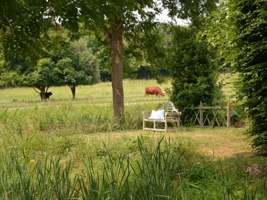 An outdoor garden area with a wooden bench with white cushions surrounded by greenery and trees with cows grazing in the background at The Gig House Stowupland