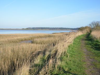 A path beside tall grass near a body of water with trees in the distance at Meadowsweet Blythburgh in Blythburgh near Reydon