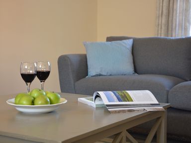 A living room with a gray sofa a striped pillow a coffee table with two glasses of red wine a bowl of green apples and an open magazine at Meadowsweet in Blythburgh near Reydon