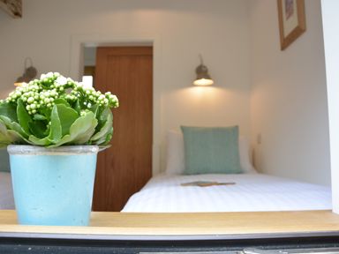 A bedroom with a bed a green pillow a wall lamp a wooden door and a potted plant in a blue pot at Red Poll Barn Spexhall Near Halesworth