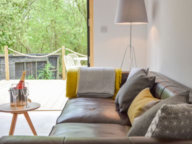 A brown leather sofa with cushions and a throw next to a standing lamp and a small table with a bottle and glasses near an open door showing a deck and greenery outside at Spexhall Barns in Halesworth