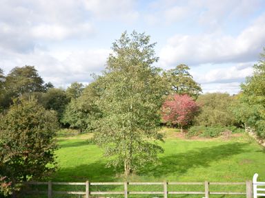 A fenced grassy field with various trees including one with red leaves at Wheelwright's Barn Walpole Near Halesworth