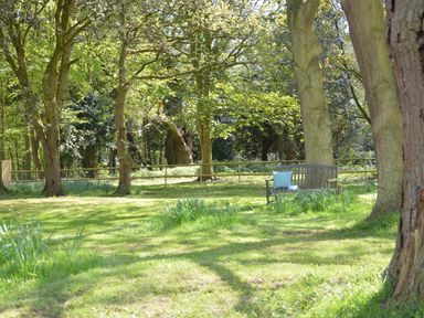 A garden area with trees and a wooden bench with cushions at Henstead Hall in Henstead near Beccles