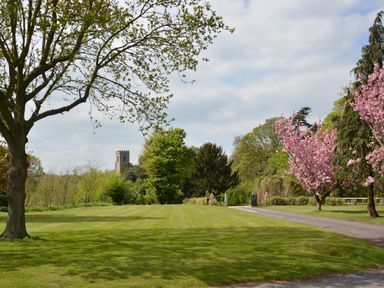 A green grassy area with trees and a narrow road running alongside it at Henstead Hall in Henstead near Beccles