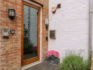 A wooden door with frosted glass and the words The Hive on it between brick and white walls with a flower box and outdoor light at The Hive Southwold