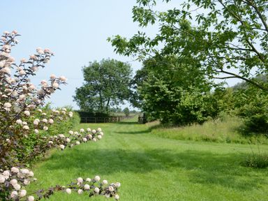 A grassy path lined with trees and flowering bushes at Wassicks Cottage Haughley