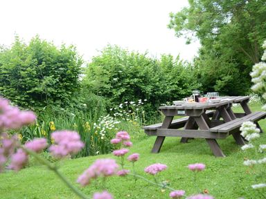 A picnic table with dishes and drinks in a garden with flowers and trees at Wassicks Cottage Haughley
