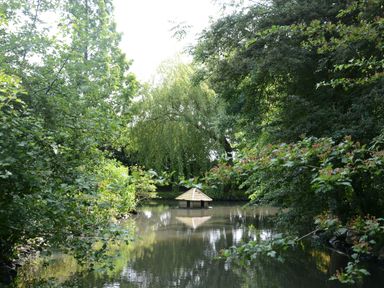 A pond surrounded by trees with a small wooden structure floating on the water at Wassicks Cottage in Haughley