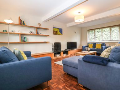 A living room with blue sofas yellow pillows a coffee table with wine glasses and a bottle wooden shelves a television and a window with blinds at Town Farm House Orford