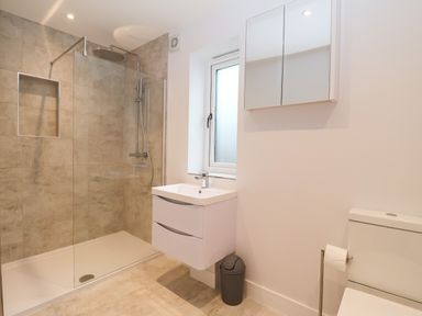 A bathroom with a walk-in shower a sink with cabinet a mirrored medicine cabinet a window and a toilet at Town Farm House Orford