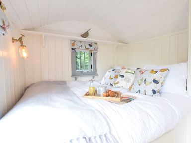 A small bedroom with white wooden walls and ceiling a bed with patterned pillows and a tray with breakfast items at Shepherds Pightle Hollesley