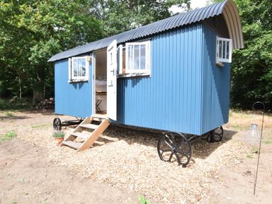 A blue shepherd hut with an open door and windows surrounded by trees at Shepherds Pightle in Hollesley