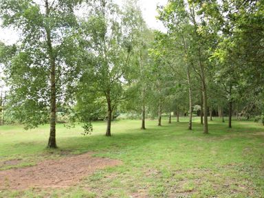 A grassy area with scattered trees at Shepherds Pightle in Hollesley