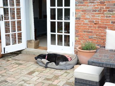 A black dog lying in a bed outside an open white glass door on a brick patio with a potted plant and wicker outdoor furniture at Old Valley Farm Walberswick
