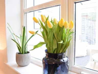 A window sill with a potted green plant and a blue vase holding yellow tulips at Bluebelle Cottage Peasenhall