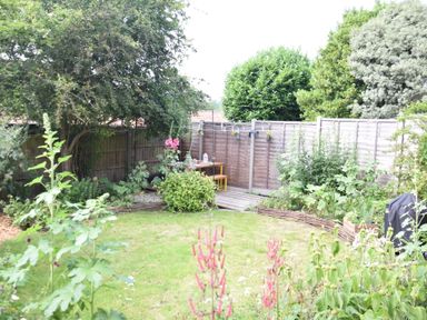 A garden with a lawn surrounded by plants shrubs trees and a wooden fence at Rosedene Rickinghall