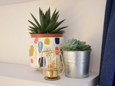 Two potted succulent plants and a gold candle holder on a white shelf with a blue curtain nearby at Rosedene Rickinghall