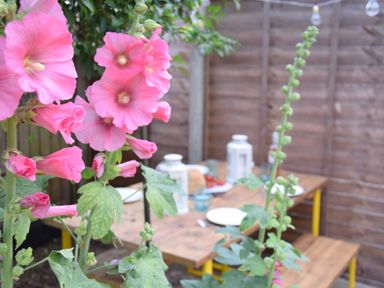 Pink flowers in front of a wooden table set with plates and lanterns in a garden with a wooden fence