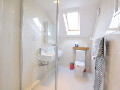 A bathroom with a toilet sink mirror skylight and heated towel rail at Skelder Parham in Parham Near Framlingham