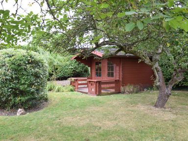 A small wooden garden shed behind a tree on a lawn at Hoist Cottage Walberswick