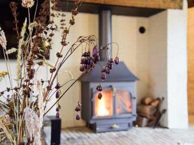 A close up of dried flowers with a wood burning stove and firewood in the background at Church Farmhouse Cookley Near Halesworth